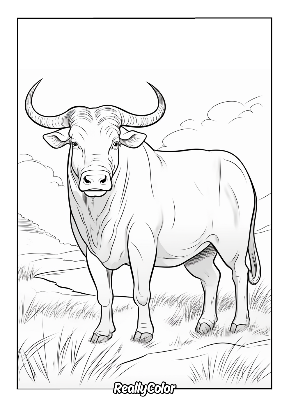 Fun coloring page of a real bull