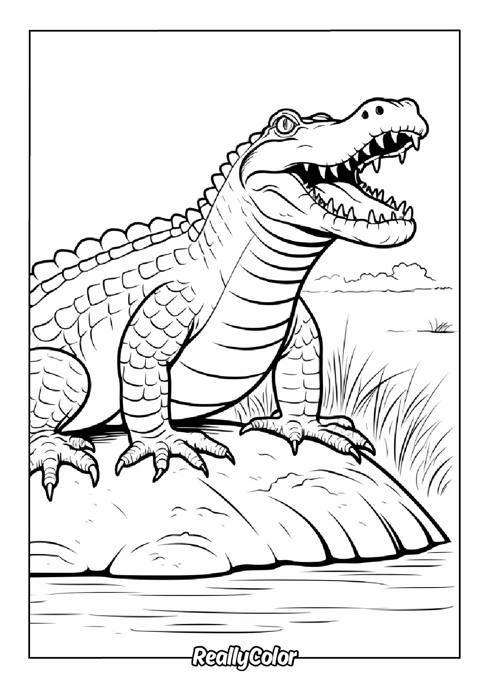 Fun coloring page of crocodile