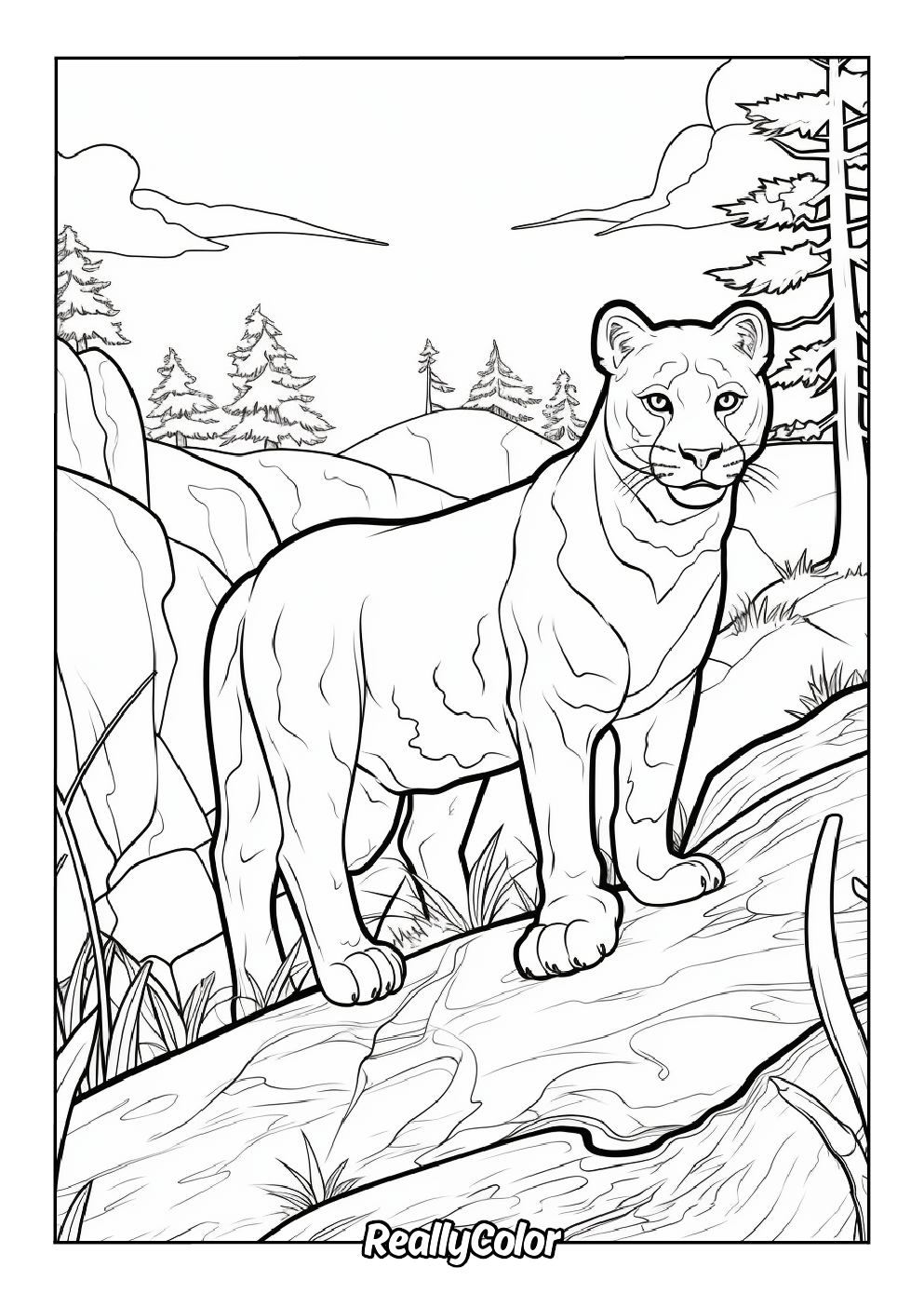 Fun cougar color page