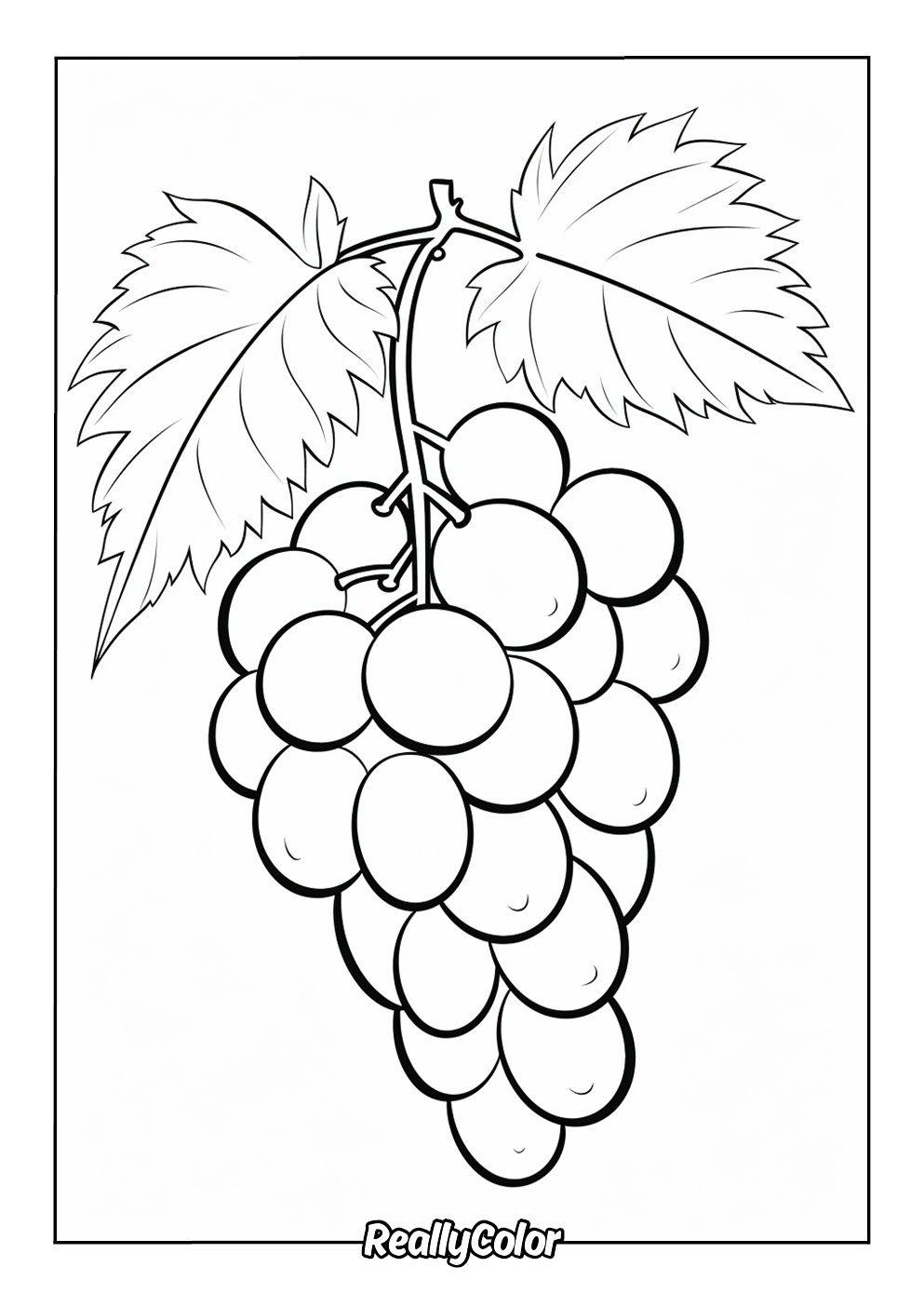 Grapes coloring page for kids