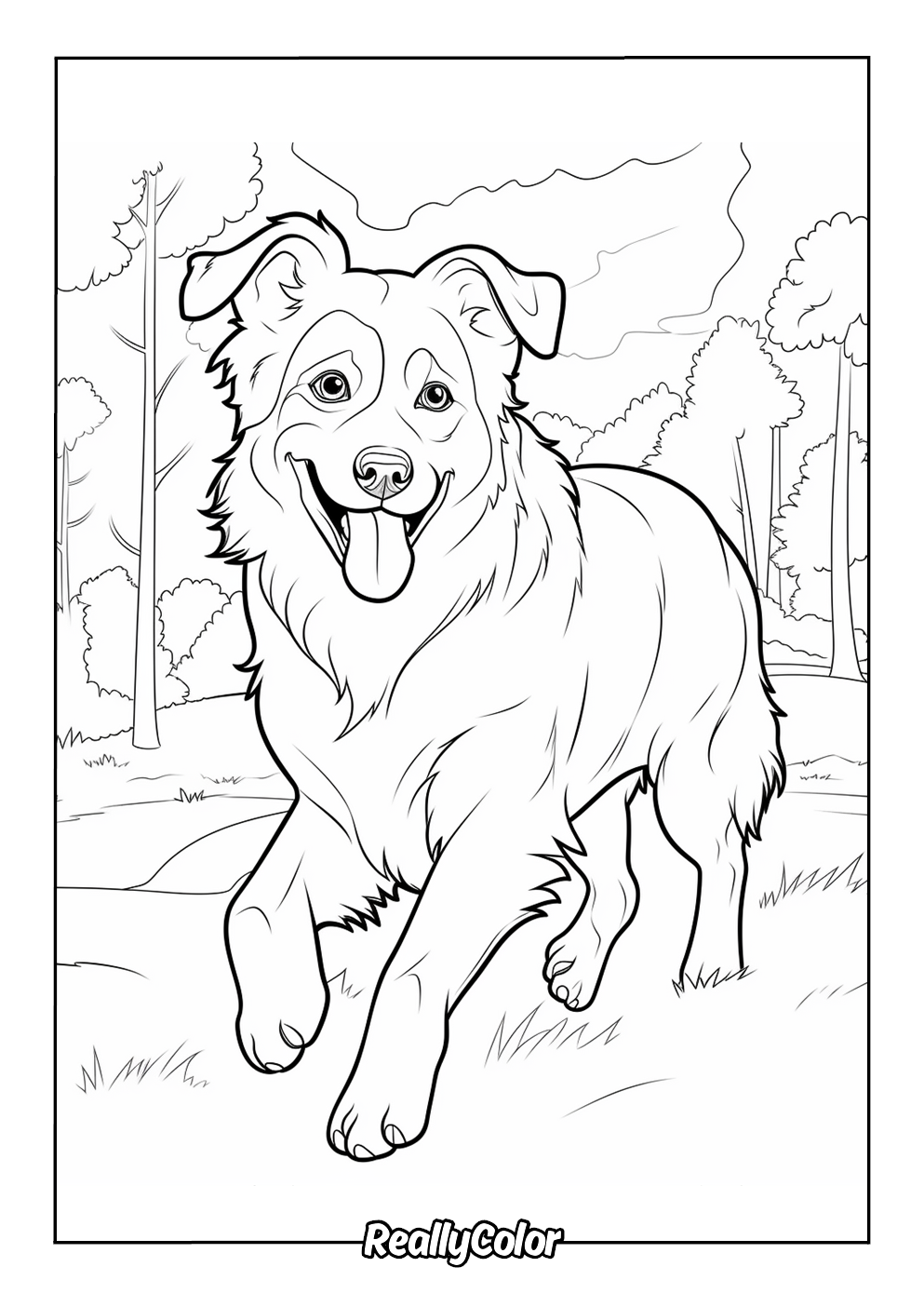 Happy australian shepherd coloring page