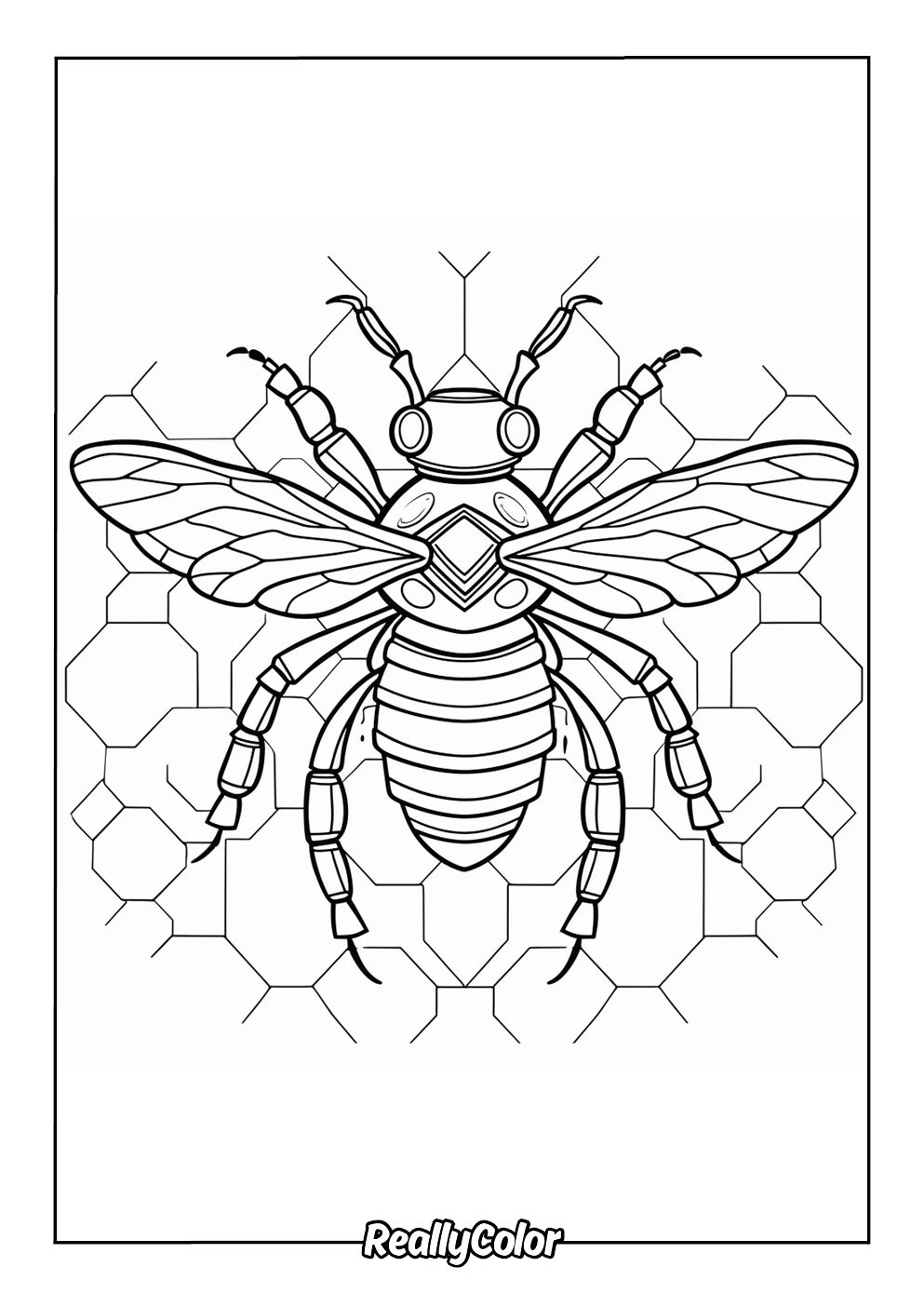 Honey bee coloring page for adults
