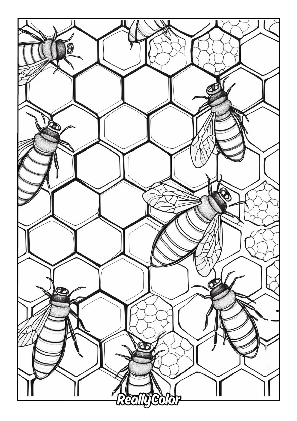 Honeycomb coloring page for adults