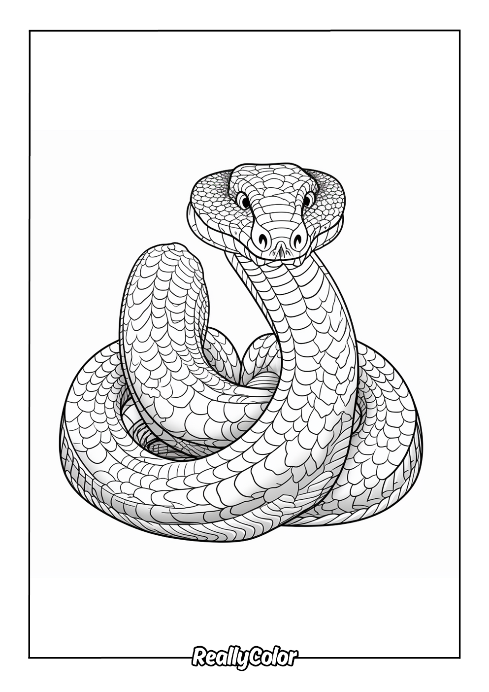 King cobra coloring page