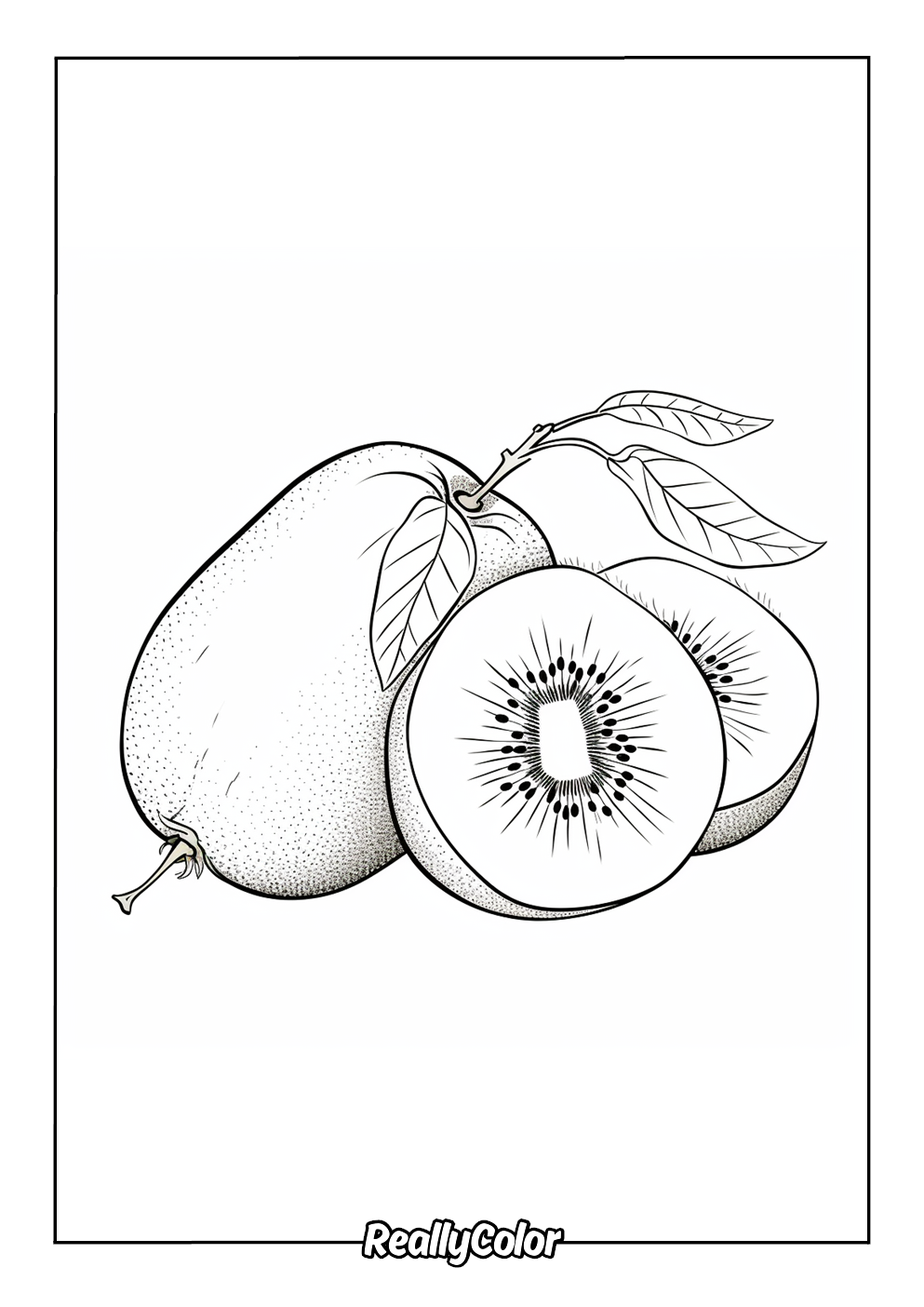 Kiwi coloring page for kids