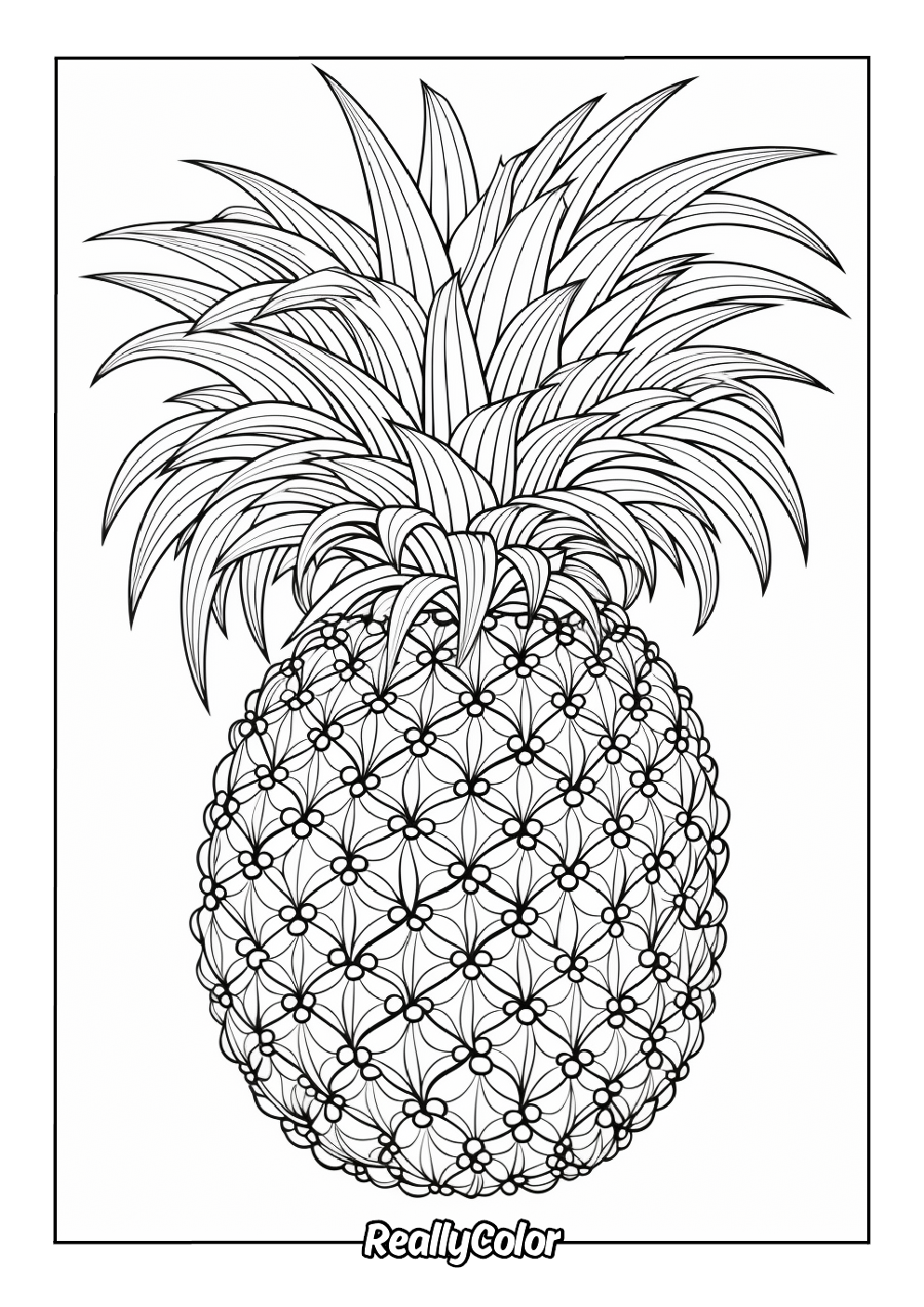 Magnificent pineapple coloring page for adults