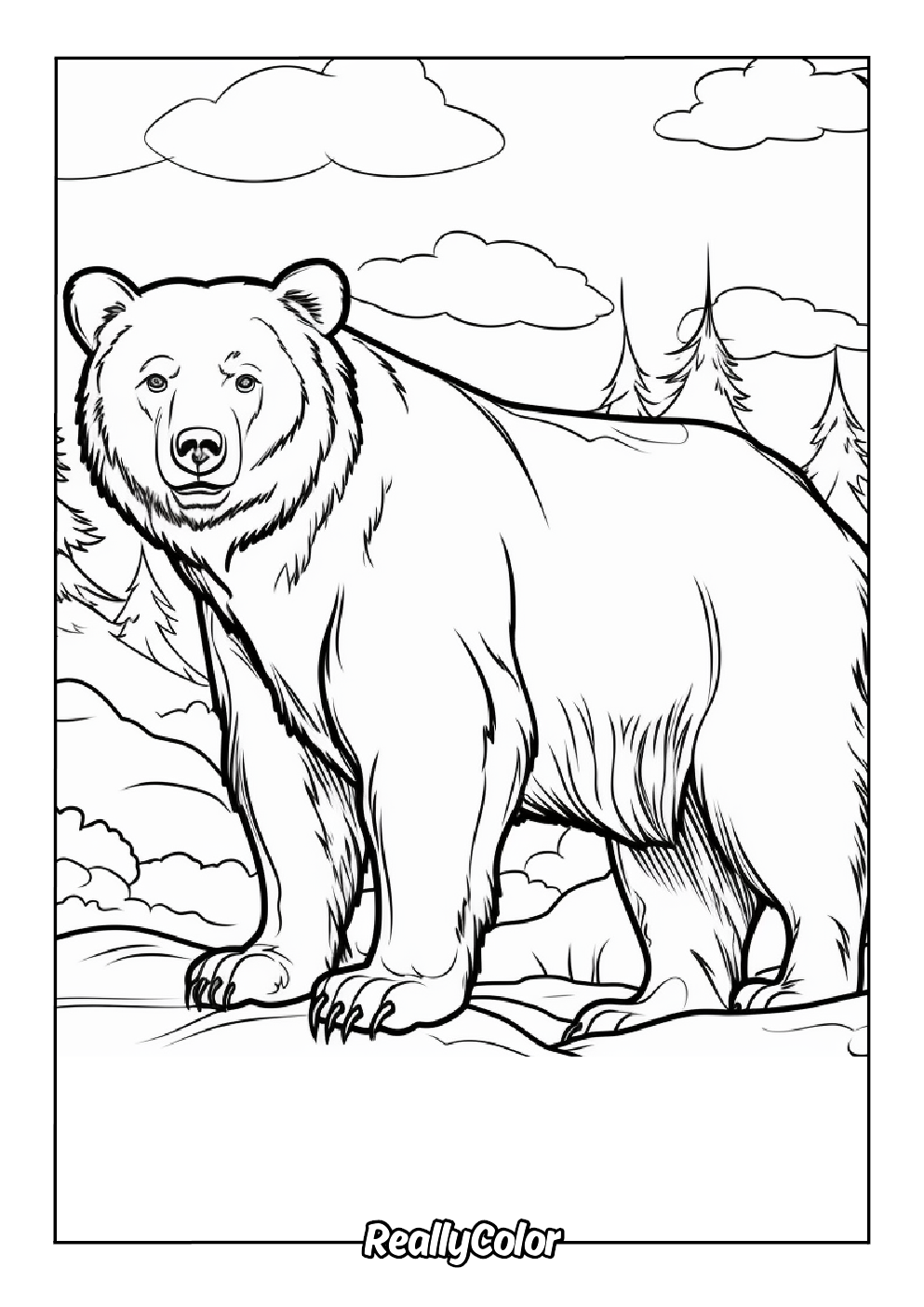 Majestic brown bear color page