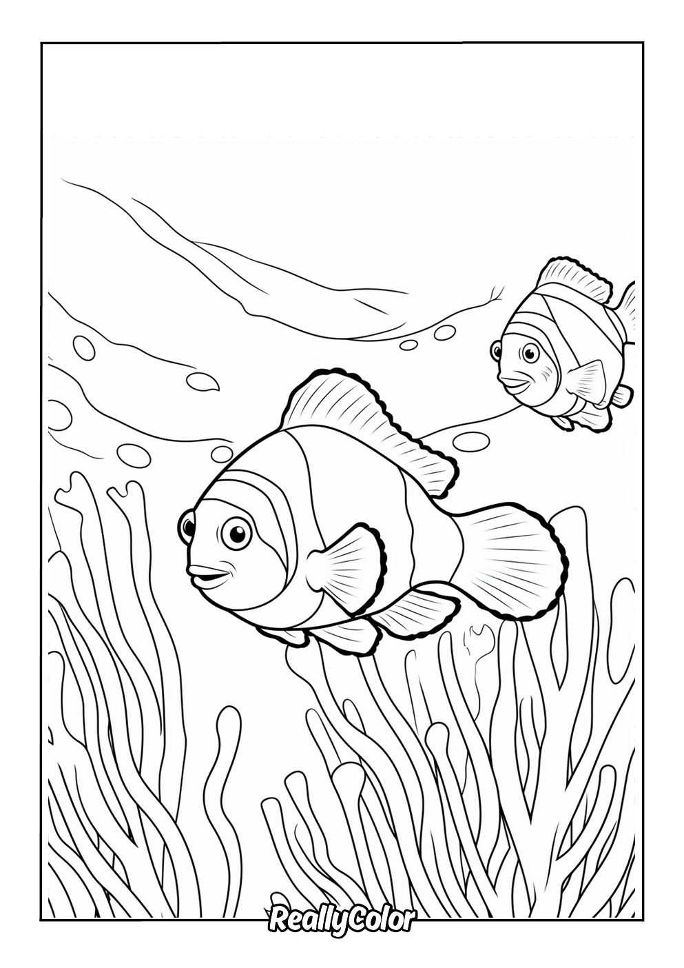 Ocean clownfish color page