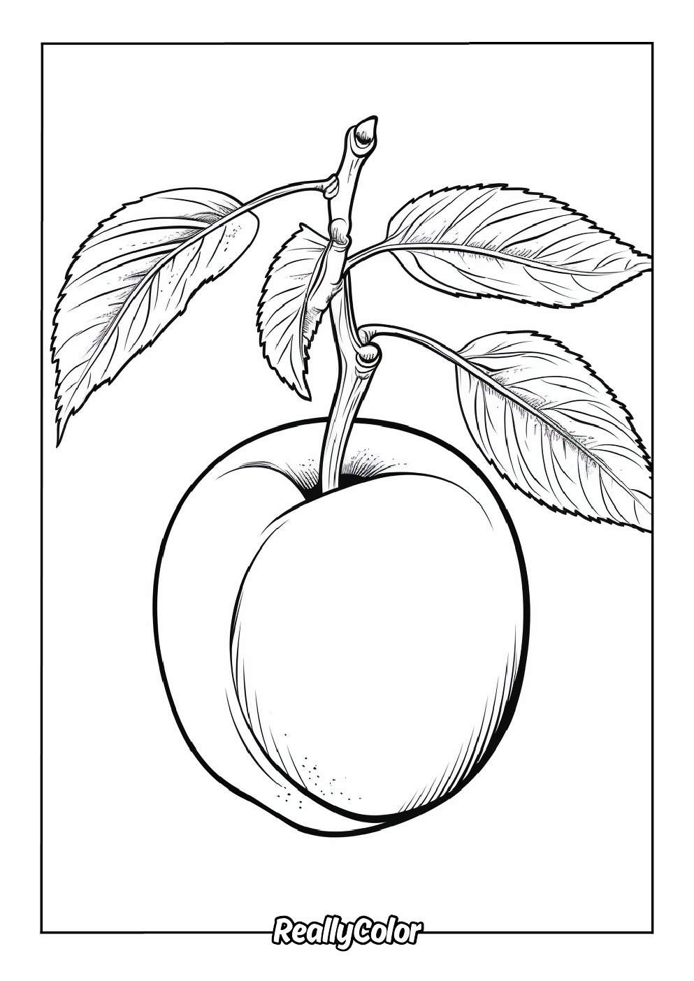 Peach picture to color