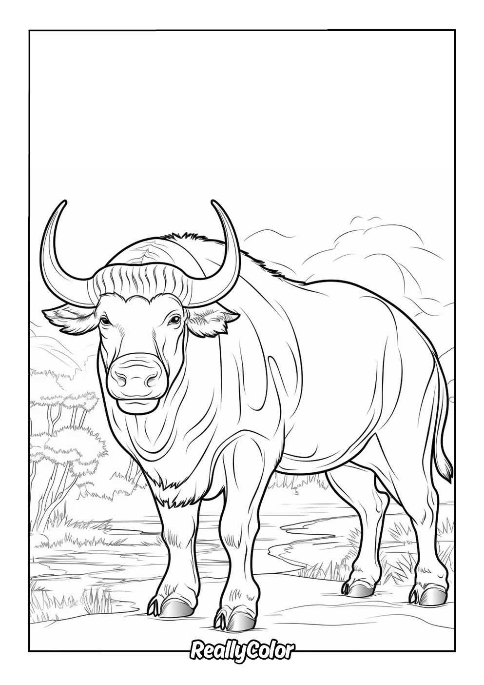 Powerful buffalo for coloring