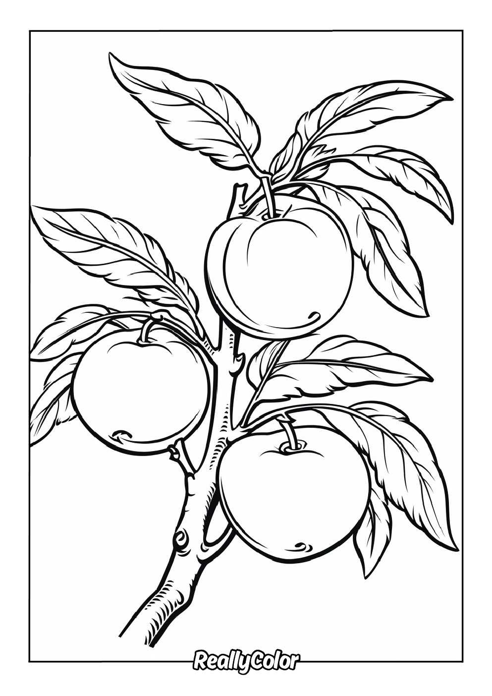 Printable apple coloring page