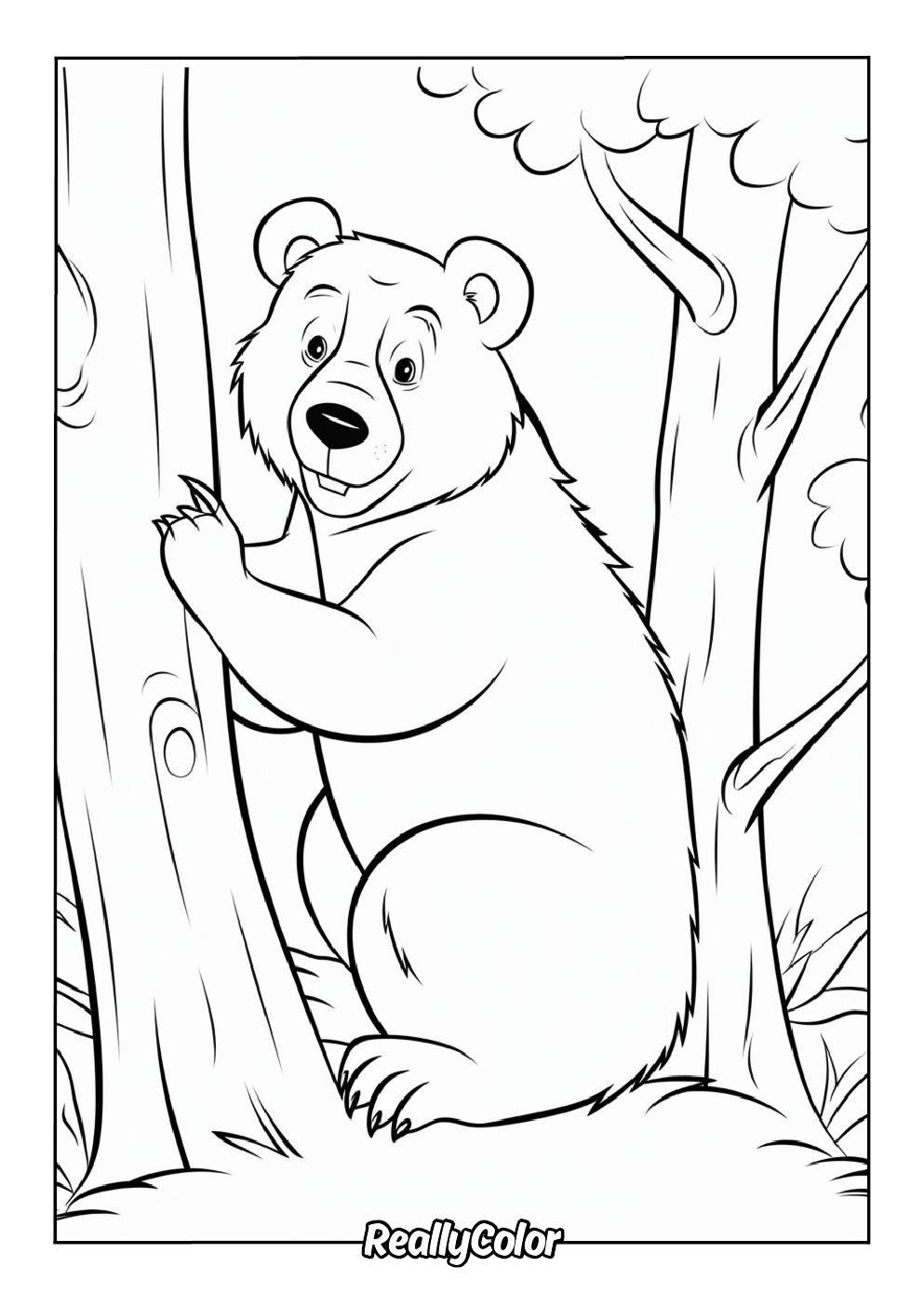 Printable bear coloring page