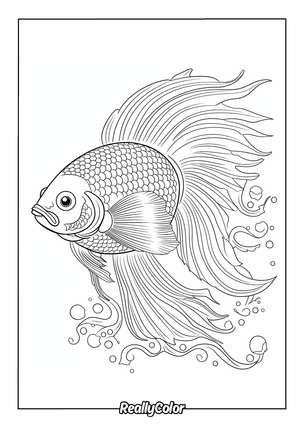 Printable betta fish color page