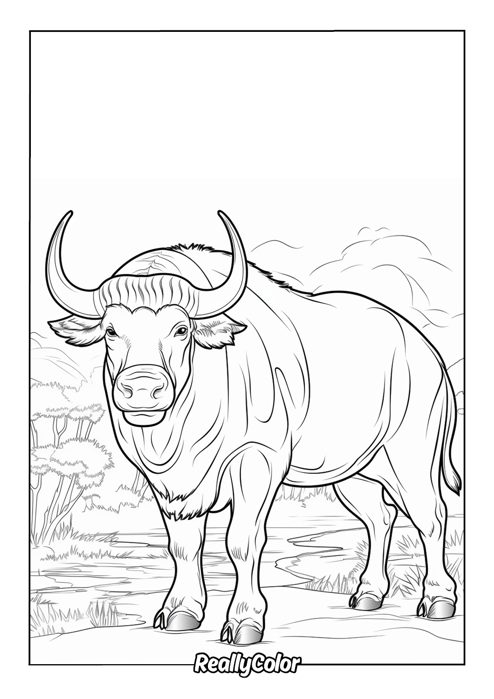 Printable bull color page