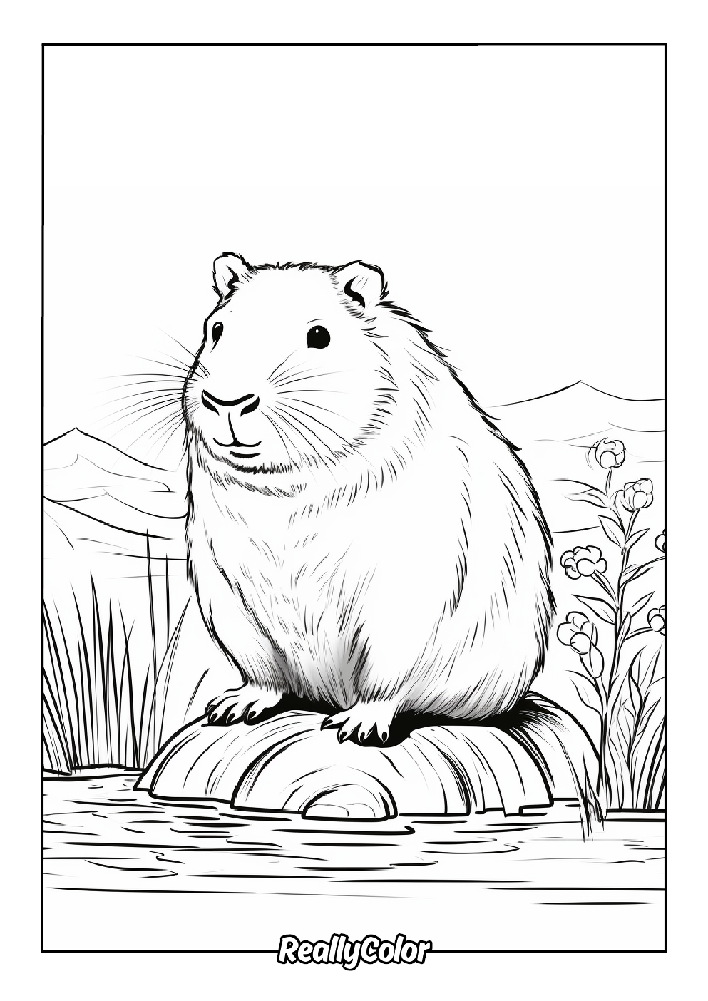 Printable capybara coloring page for adults