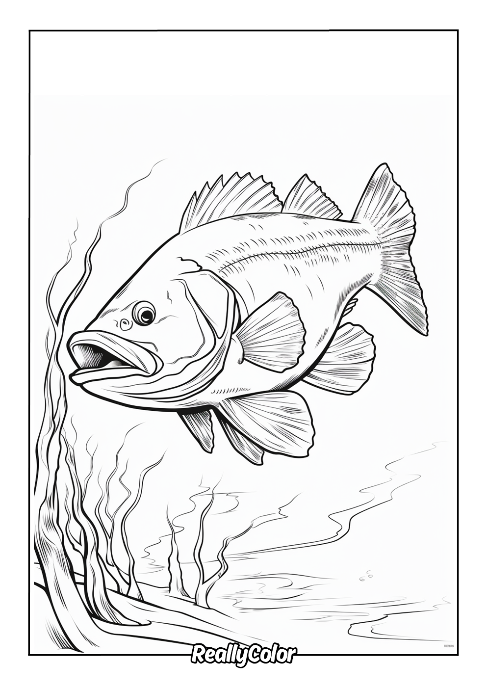 Printable coloring page of a bass fish