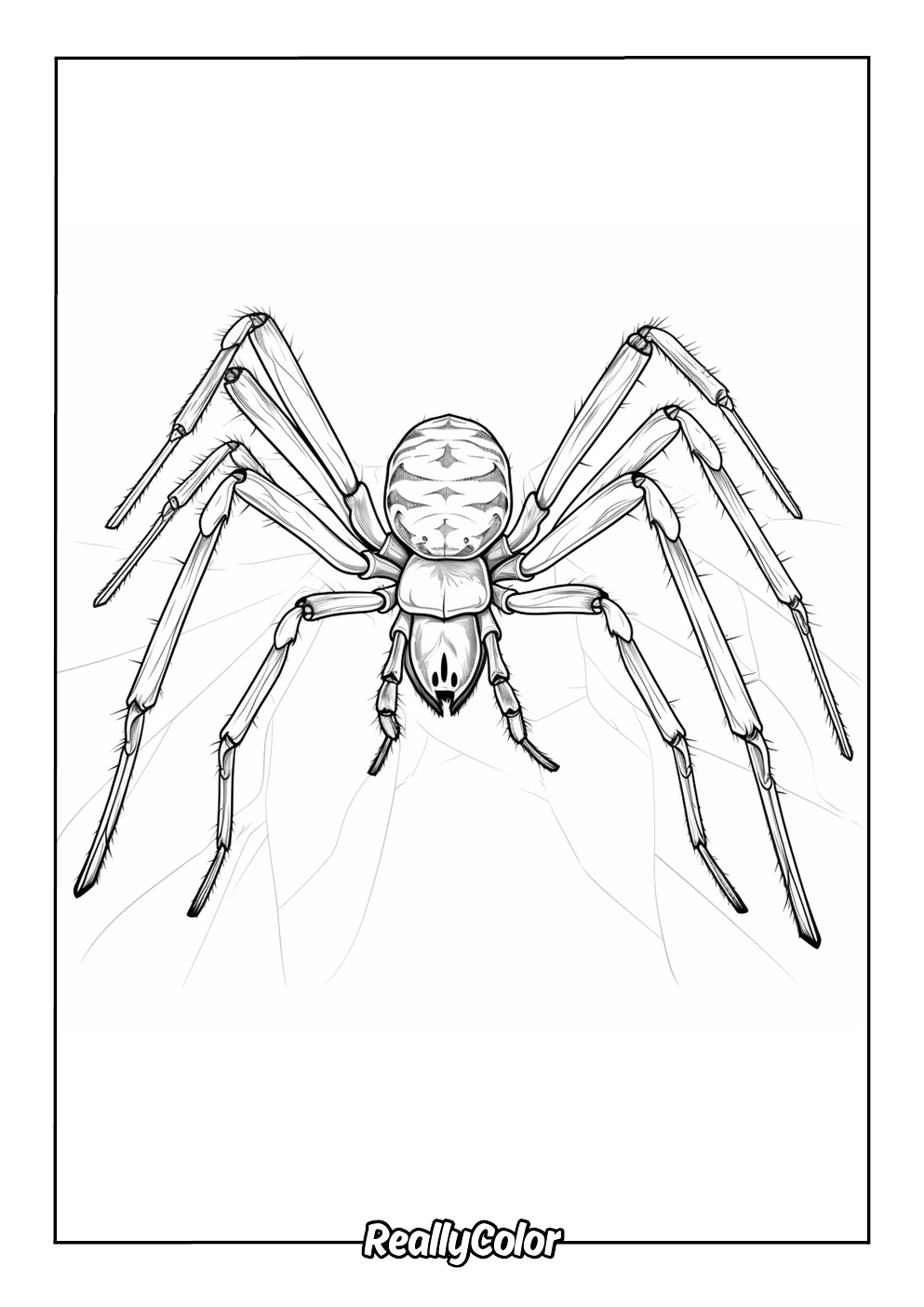 Printable coloring page of a black widow spider