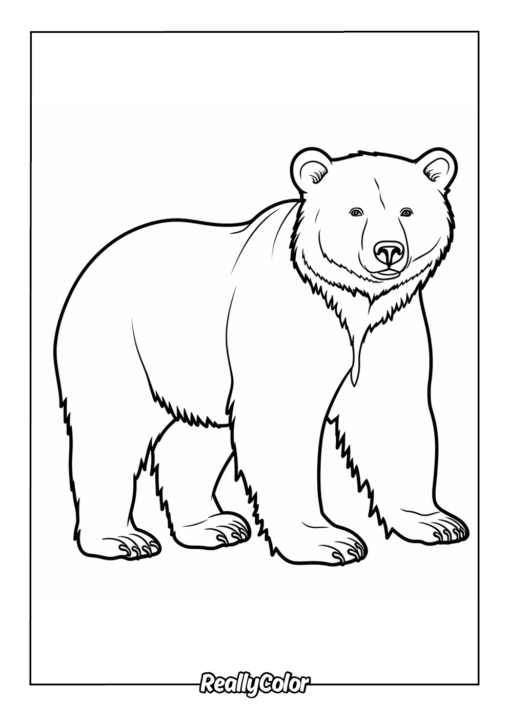 Printable coloring page of a brown bear