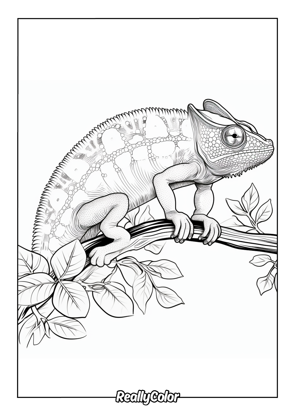 Printable coloring page of a chameleon for adults
