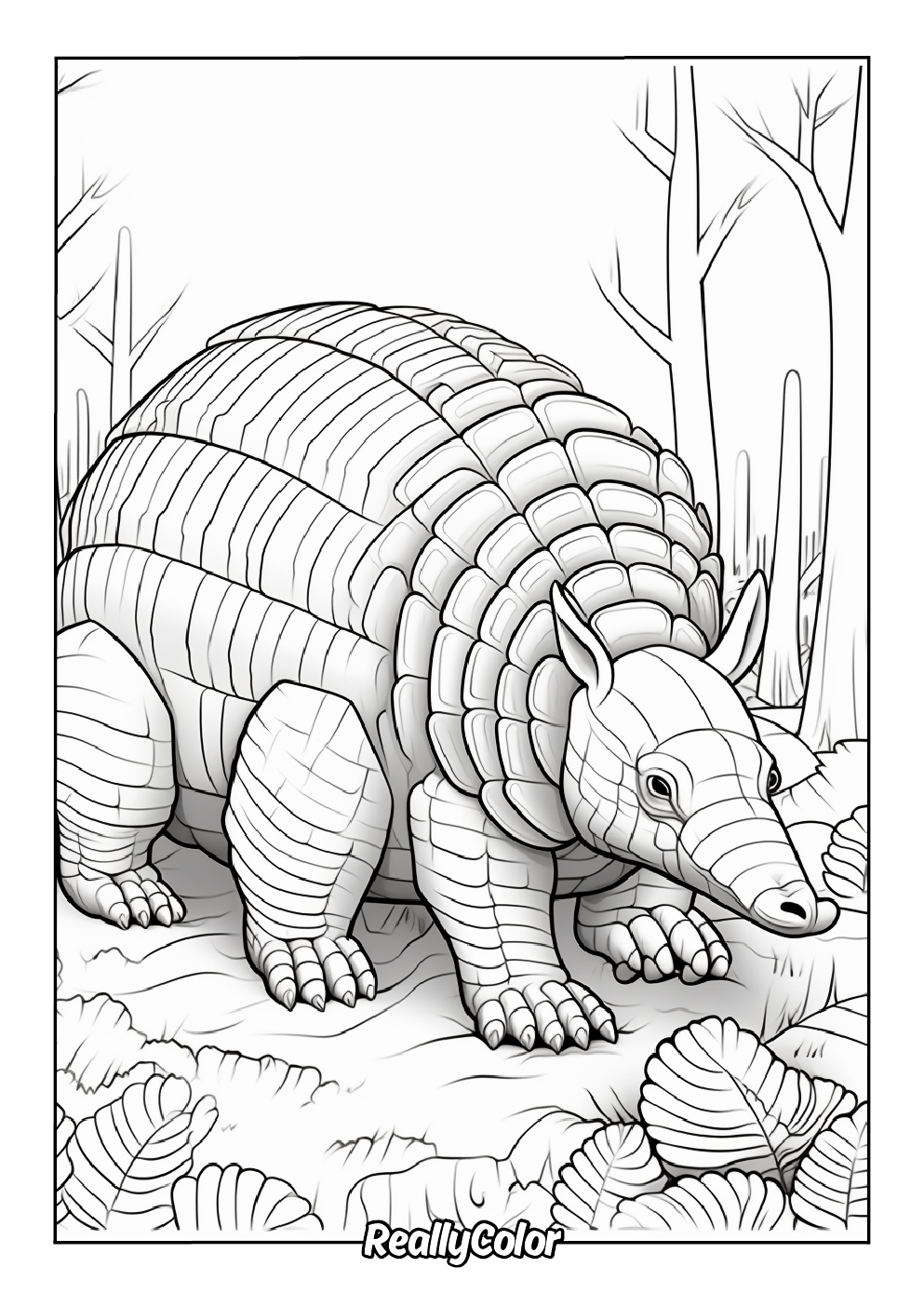 Printable coloring page of an armadillo