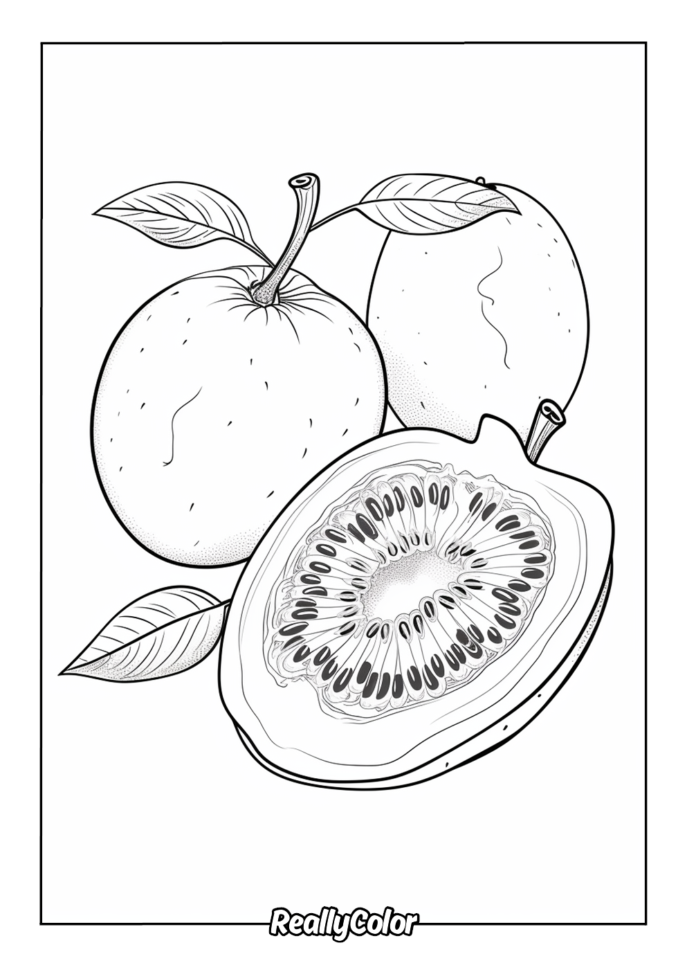 Printable coloring picture of a kiwi