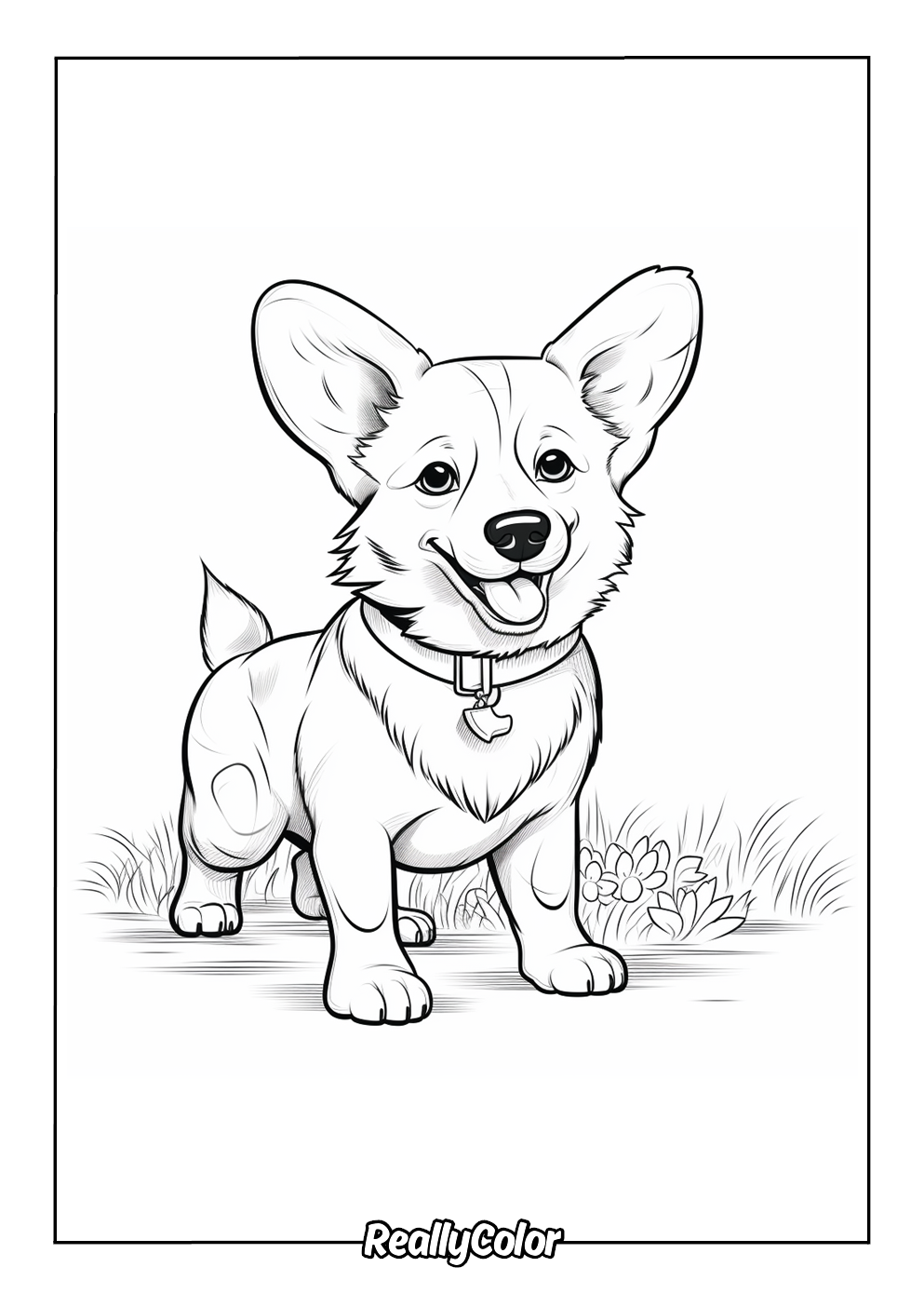 Printable corgi coloring page