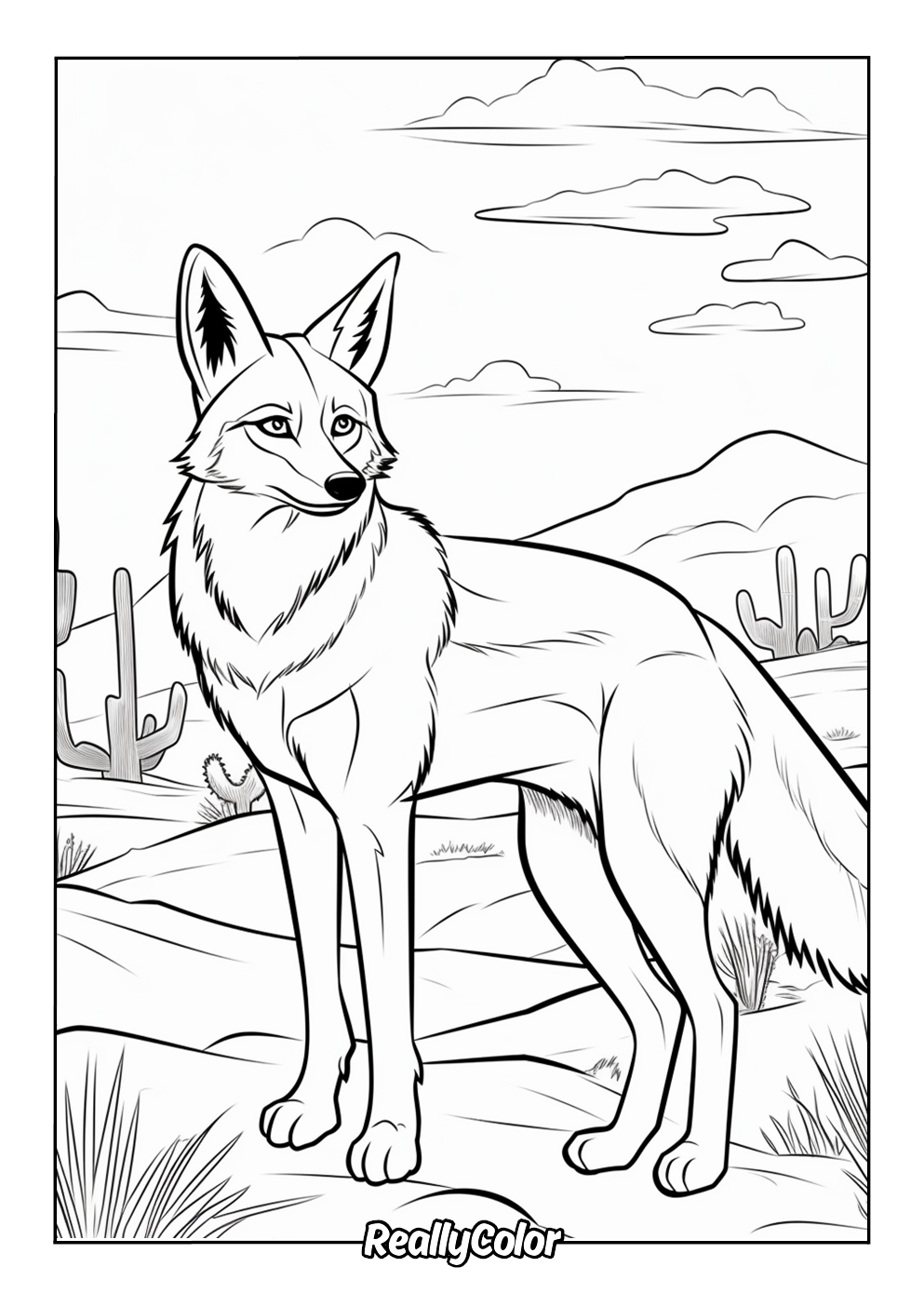 Printable coyote color page