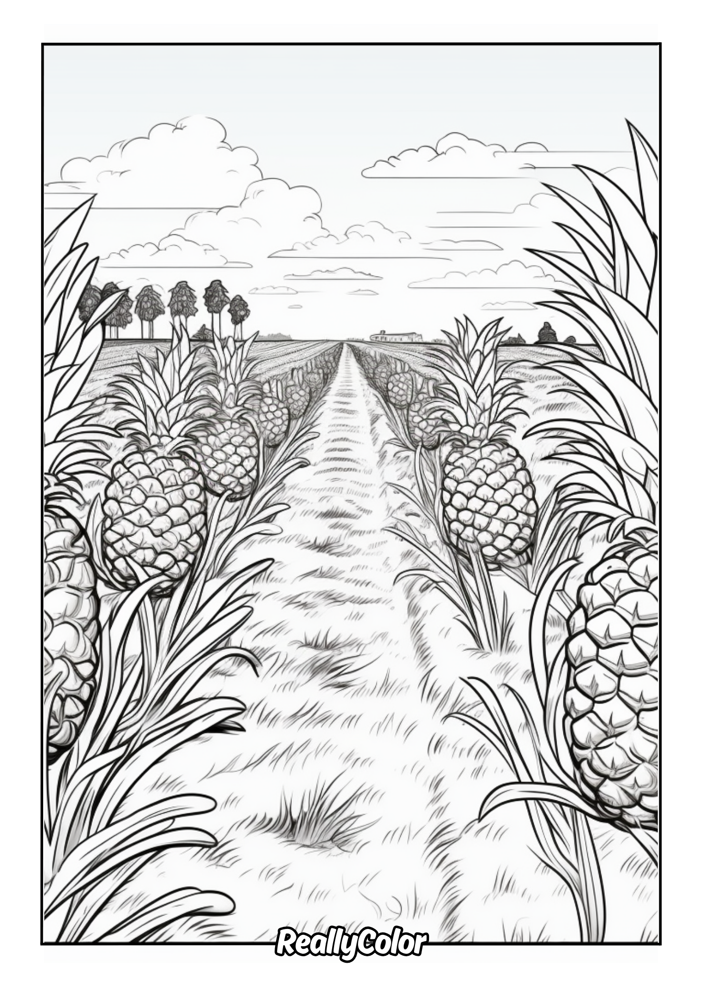 Printable pineapples field to color