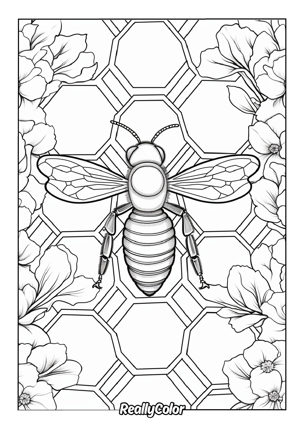Queen bee coloring page