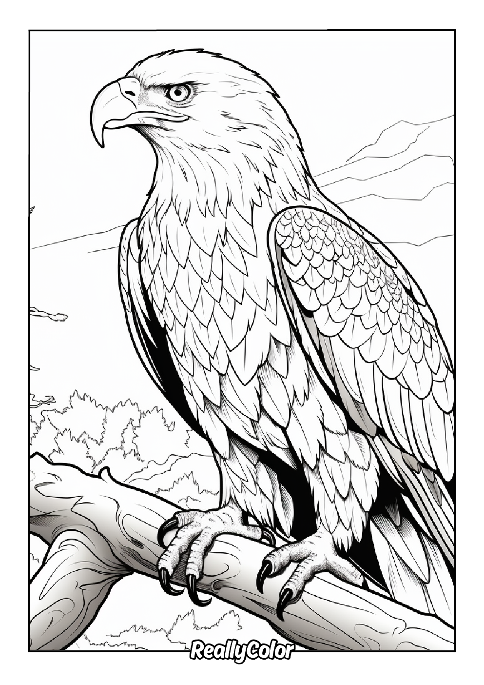 Realistic american bald eagle coloring page for adults