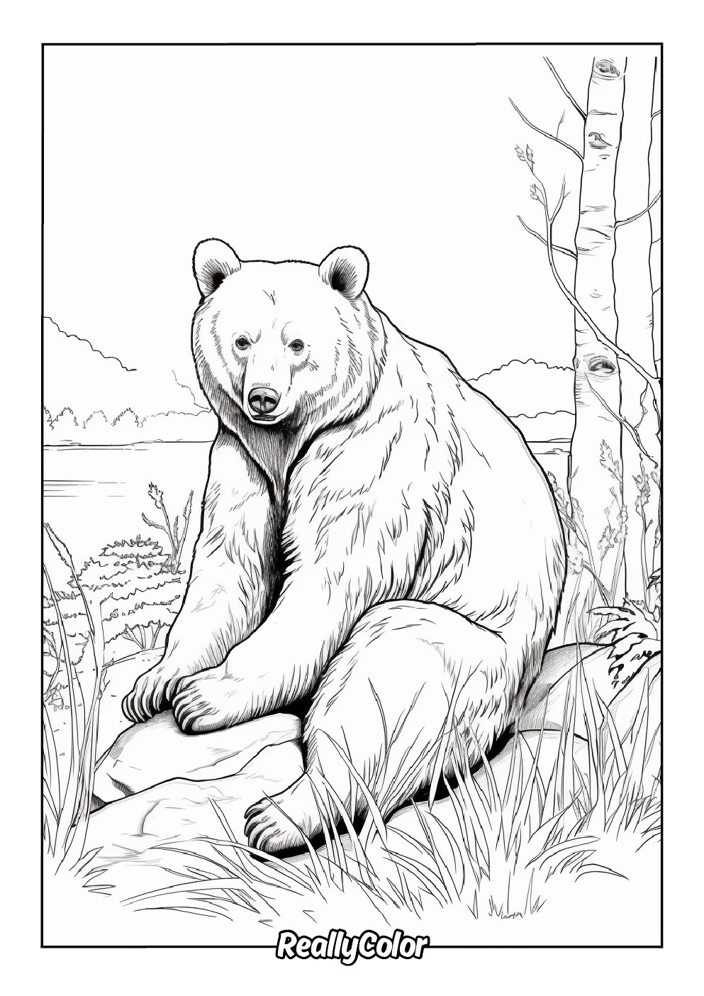 Realistic bear coloring page for adults