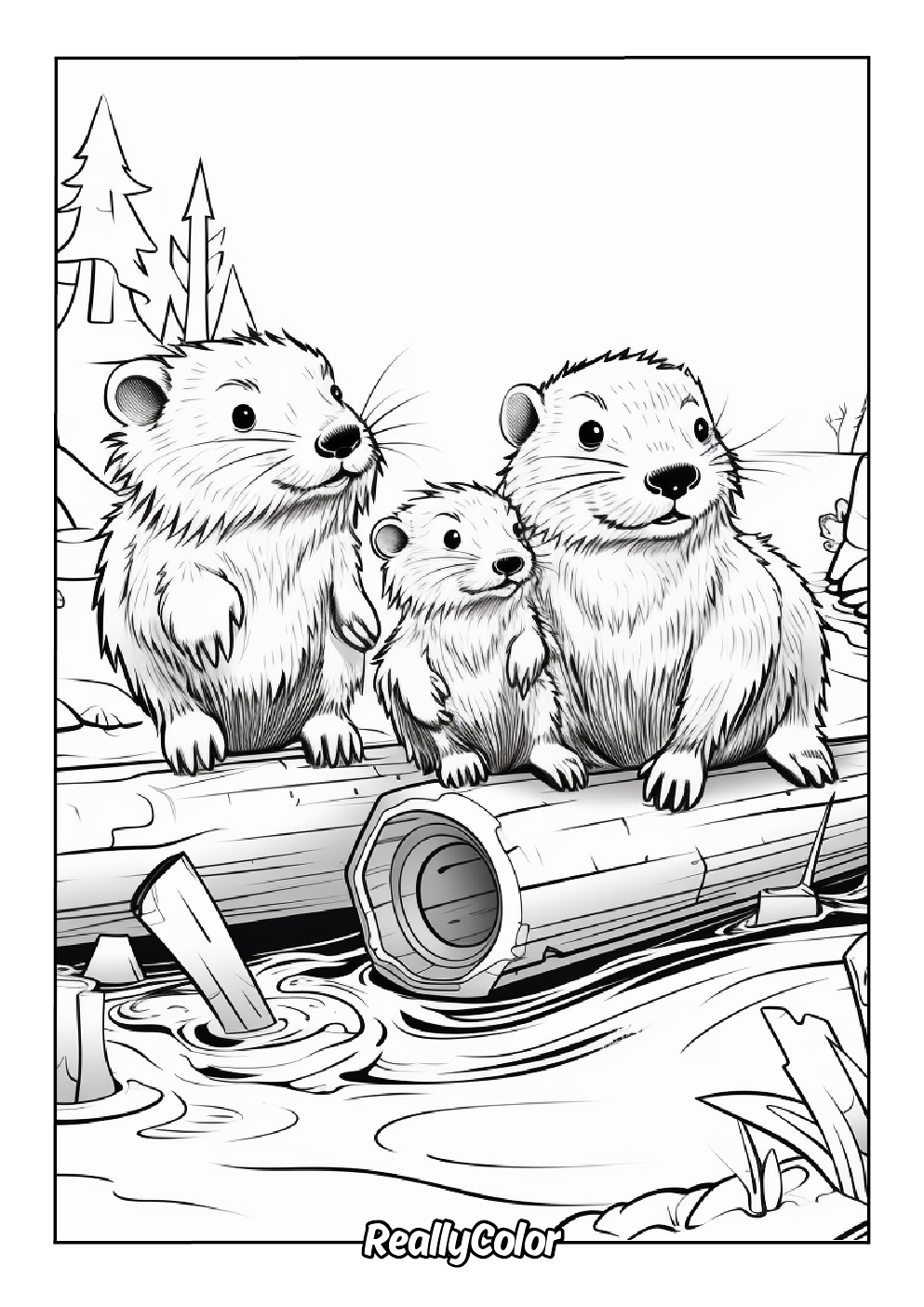 Realistic beavers color page