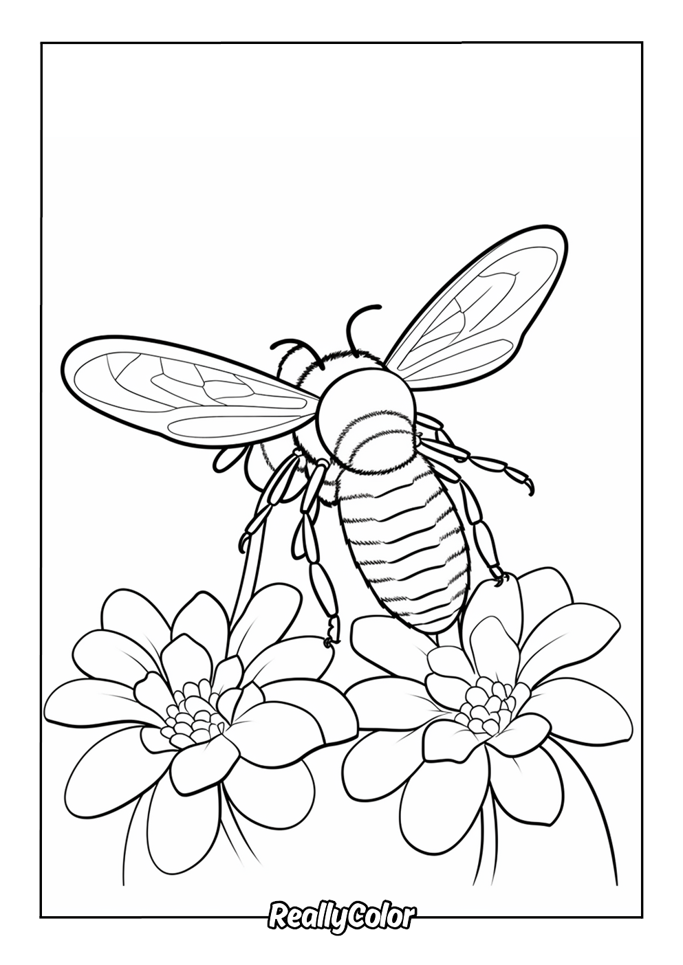 Realistic bee coloring page