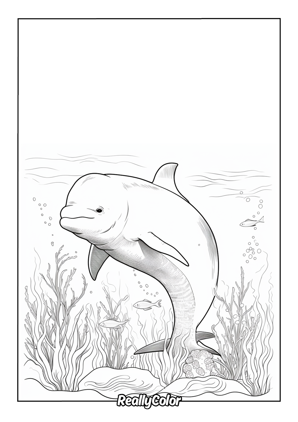 Realistic beluga whale coloring page