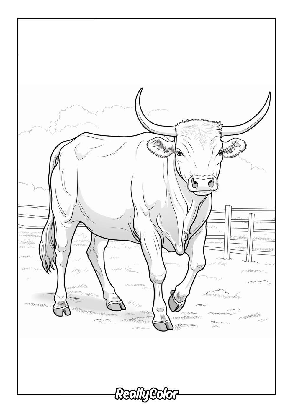 Realistic bull coloring page