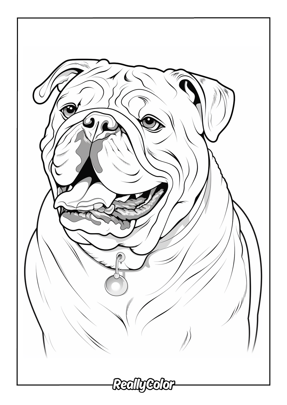 Realistic bulldog coloring page