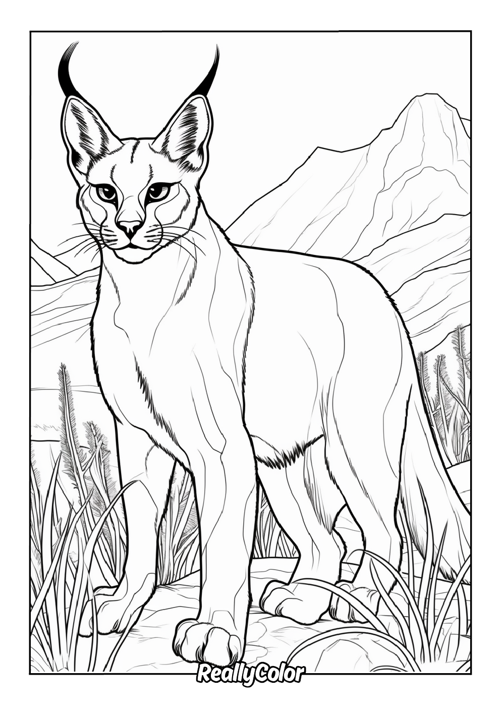 Realistic caracal coloring page