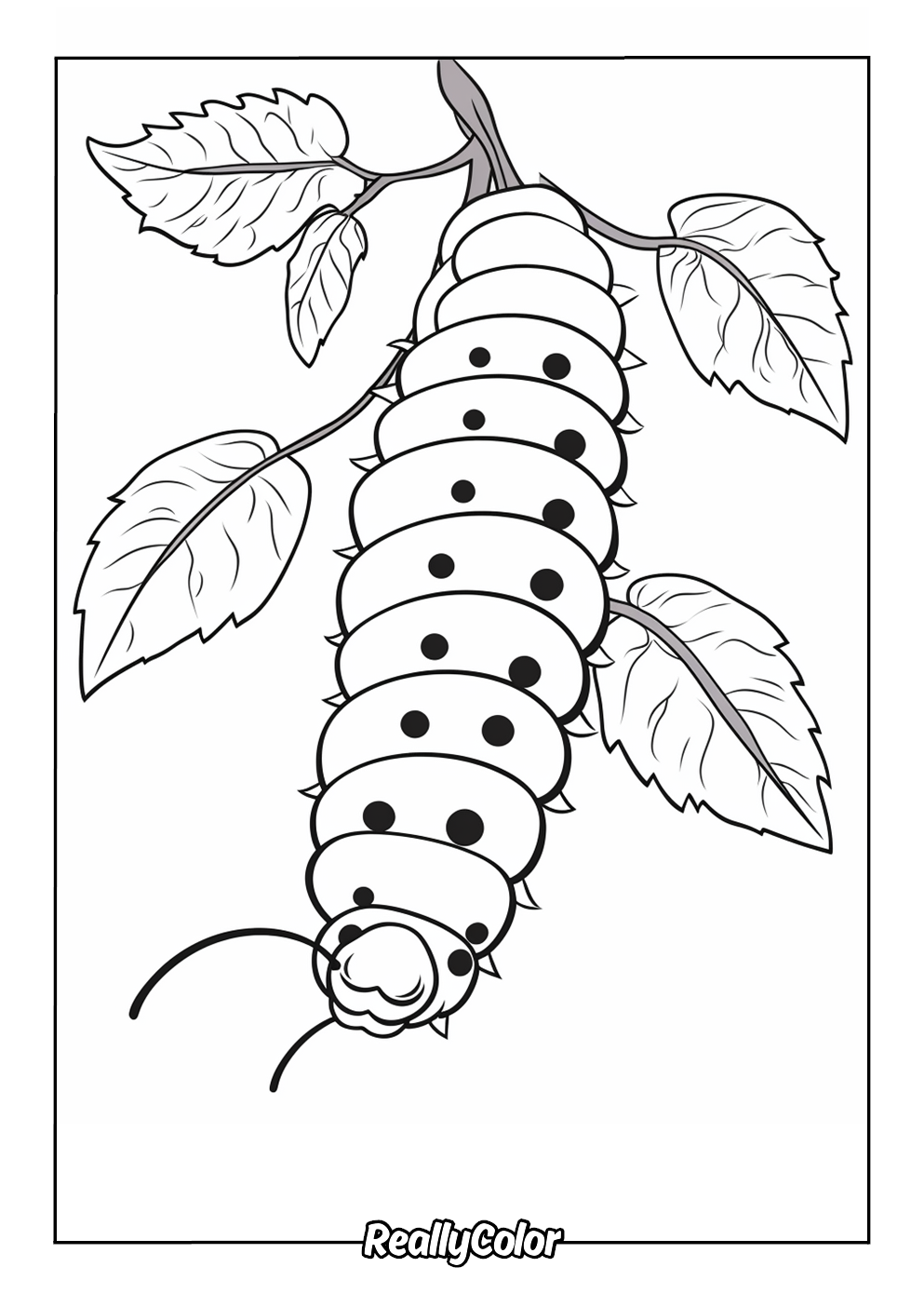Realistic caterpillar color page