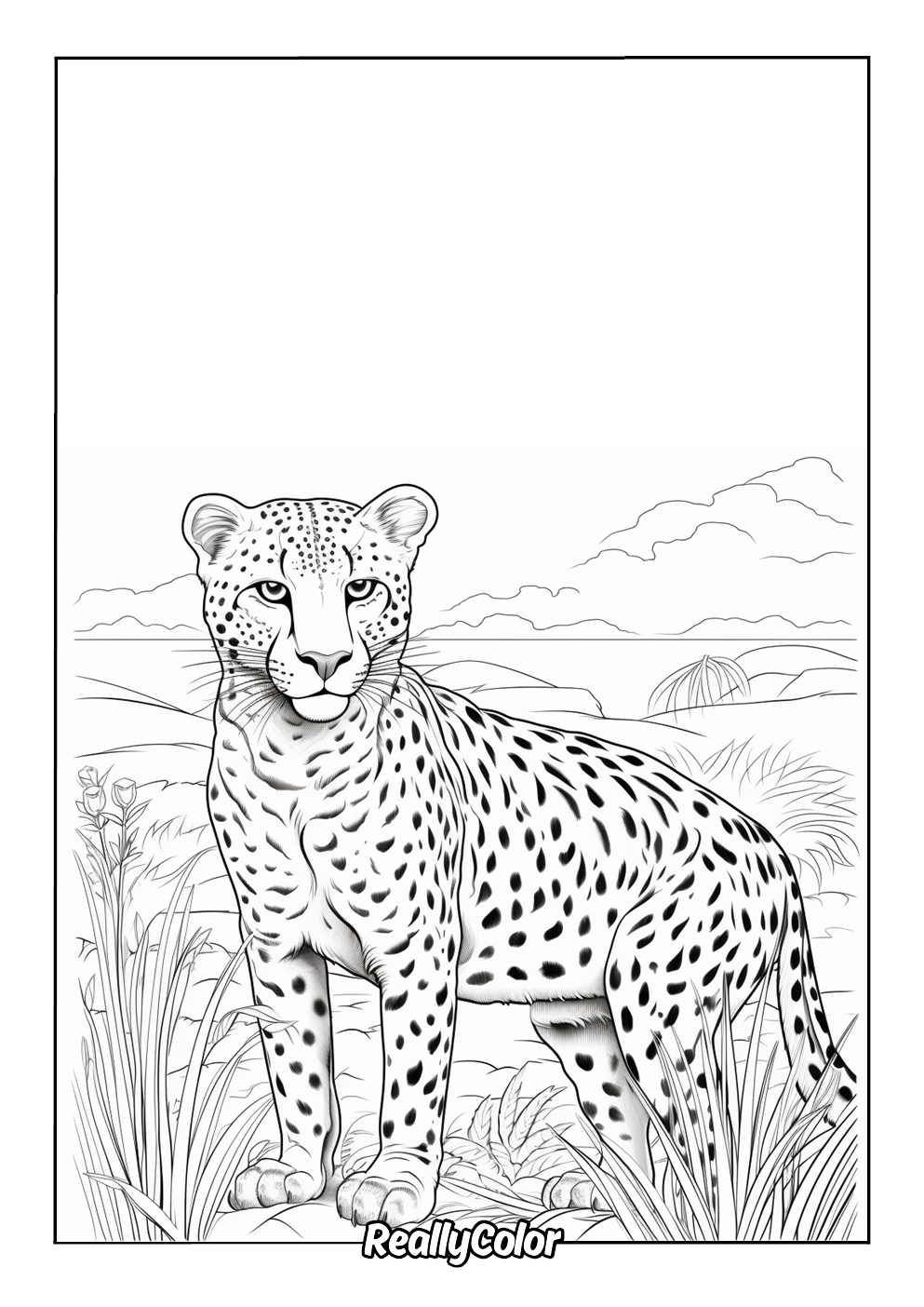 Realistic cheetah coloring page