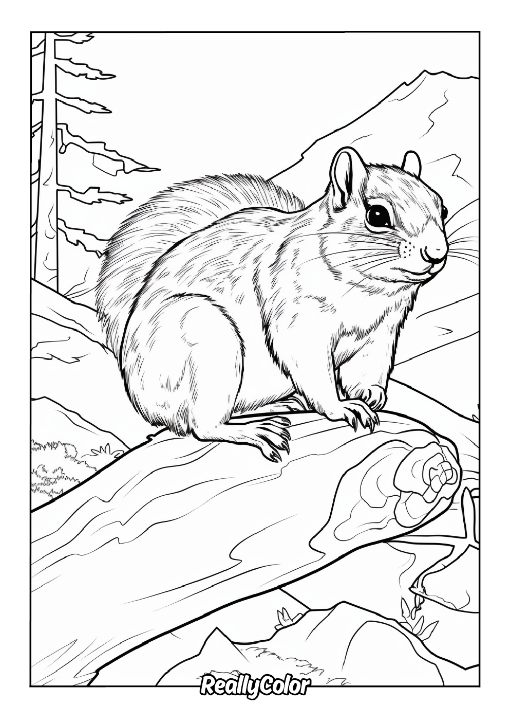 Realistic chipmunk coloring page for adults