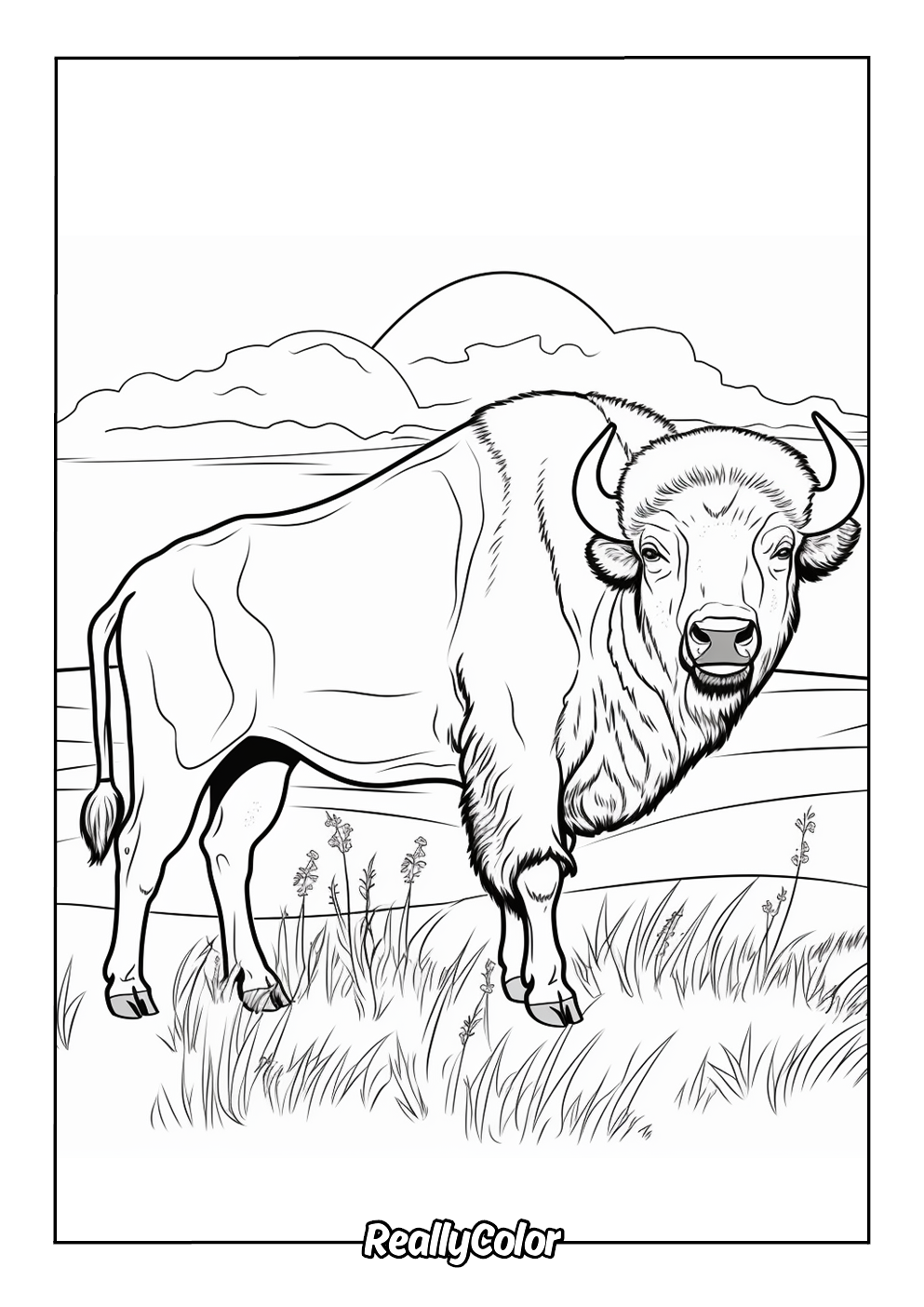 Realistic coloring page of a buffalo