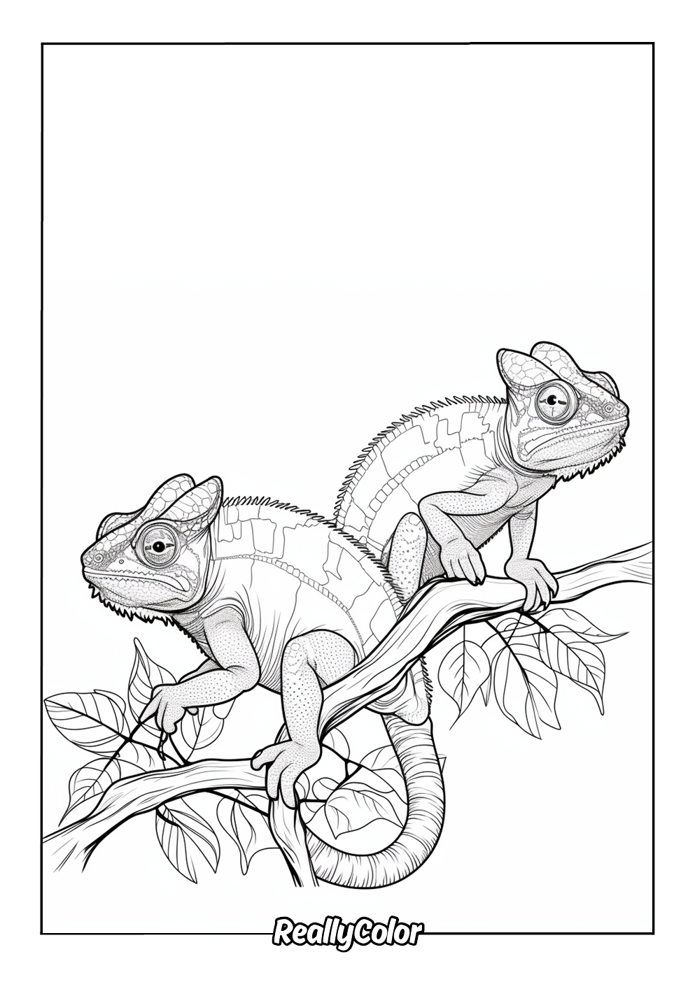 Realistic coloring page of a couple of chameleons