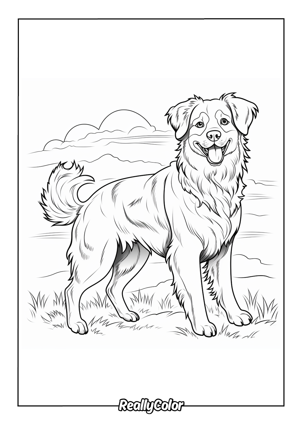 Realistic coloring page of an australian shepherd