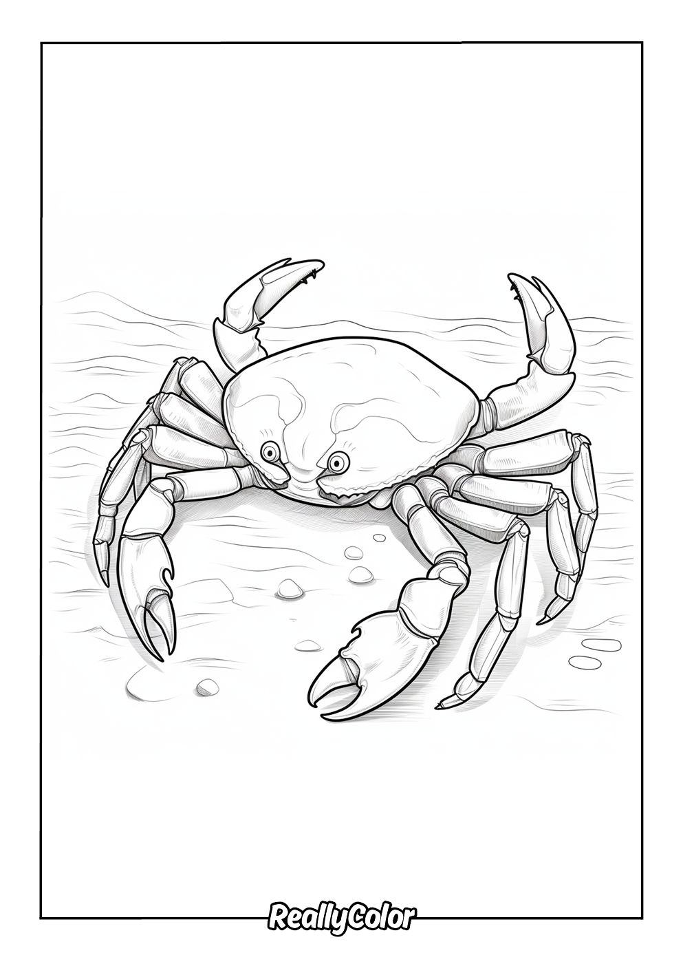 Realistic crab to color