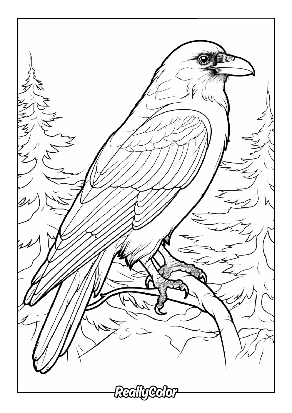 Realistic crow coloring page
