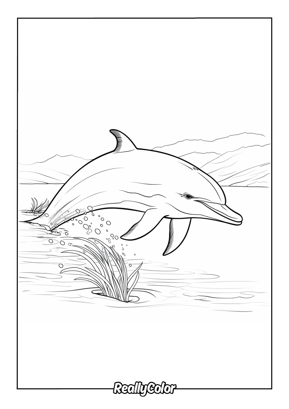 Realistic dolphin coloring page for adults