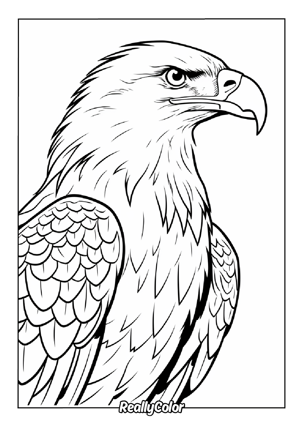Realistic eagle coloring page for adults