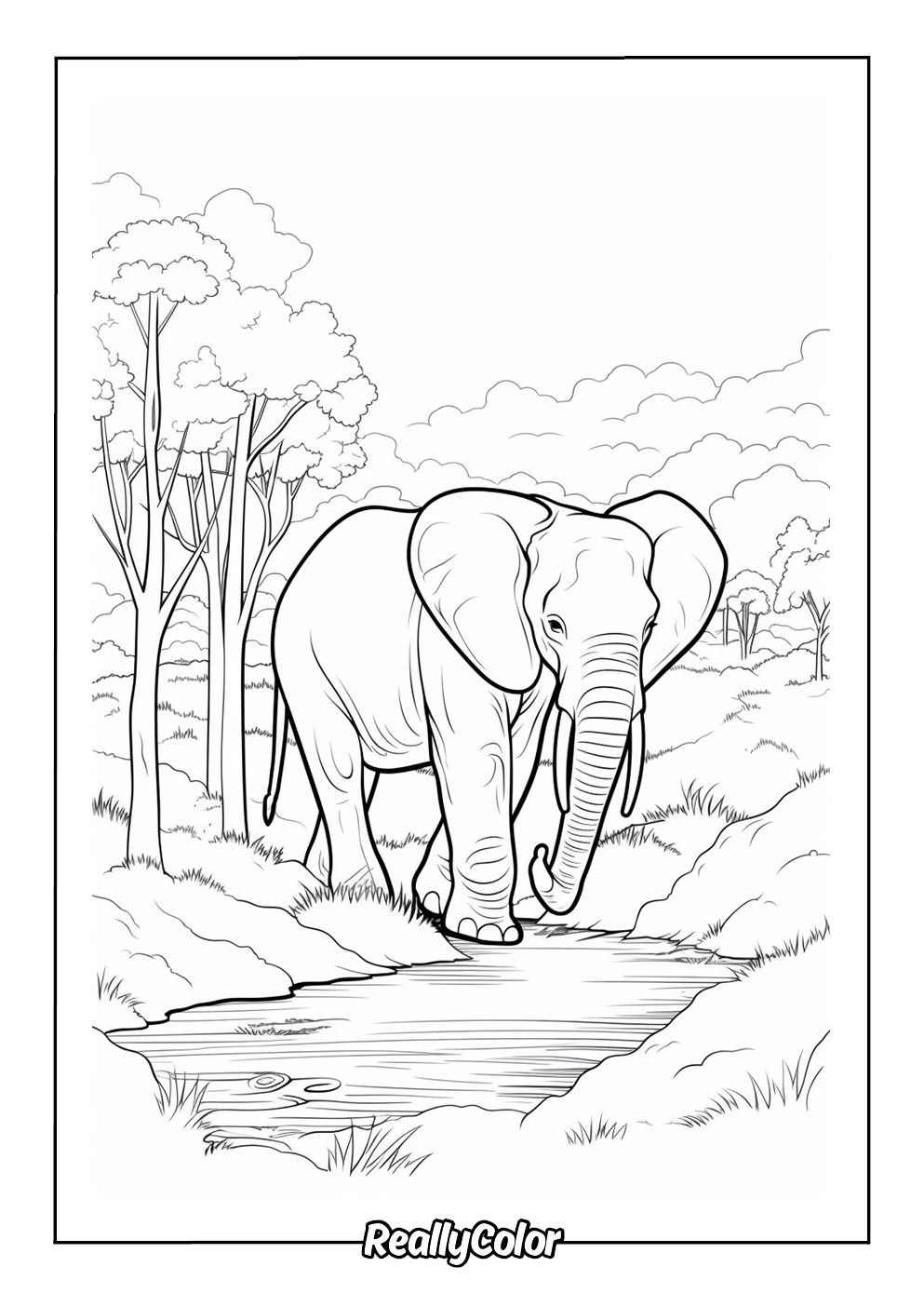 Realistic elephant coloring page for adults