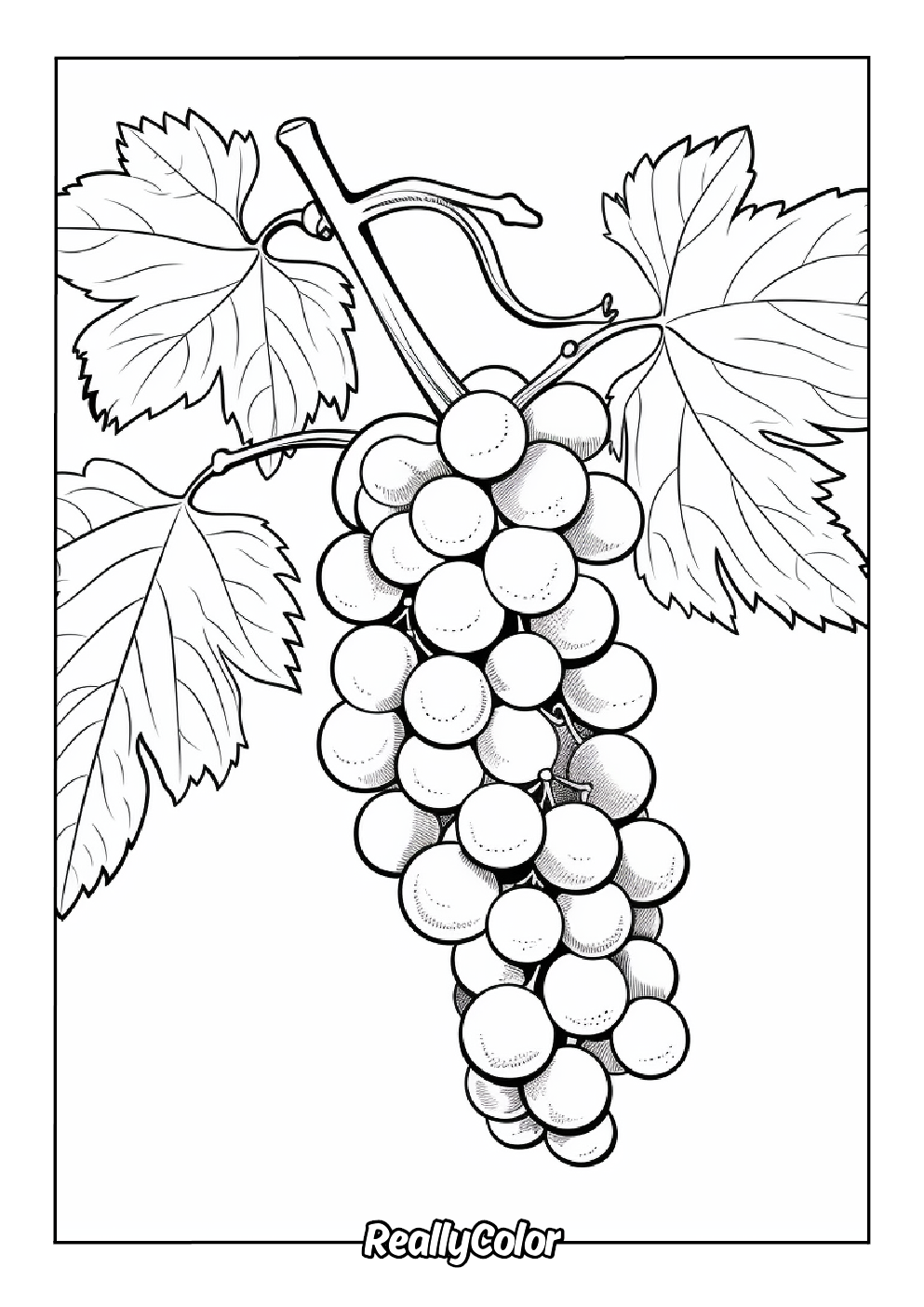 Realistic grapes coloring page
