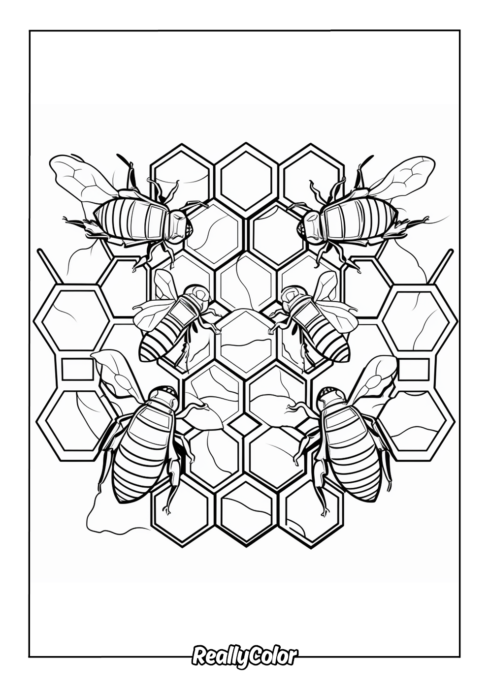 Realistic honeycomb coloring page